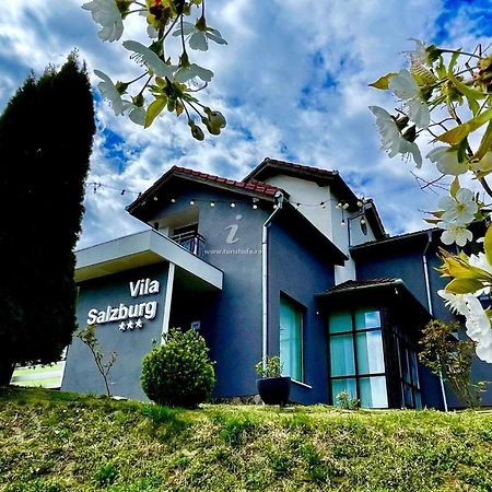 Vila Salzburg Ξενοδοχείο Ocna Sibiului Εξωτερικό φωτογραφία