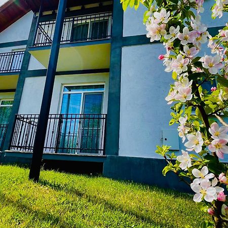 Vila Salzburg Ξενοδοχείο Ocna Sibiului Εξωτερικό φωτογραφία