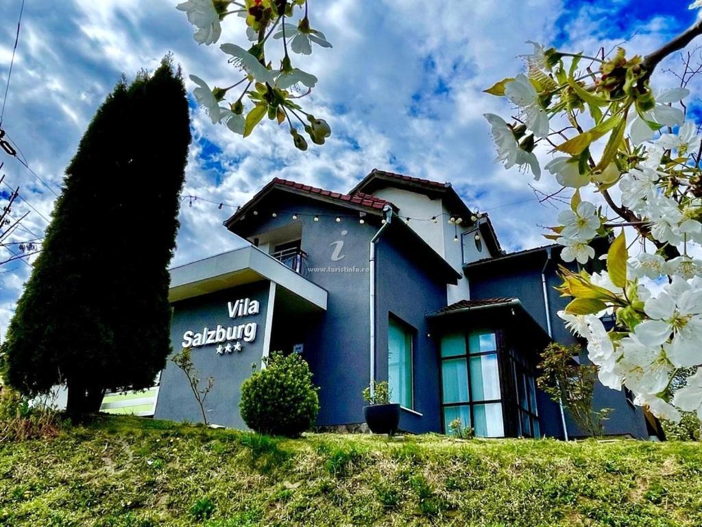 Vila Salzburg Ξενοδοχείο Ocna Sibiului Εξωτερικό φωτογραφία