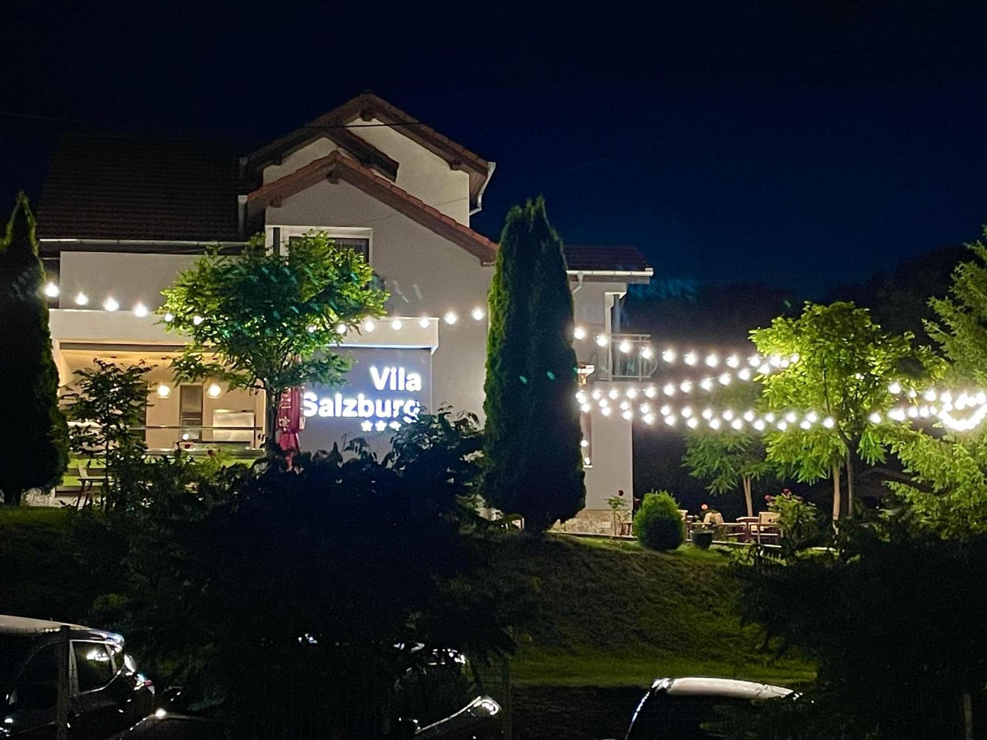 Vila Salzburg Ξενοδοχείο Ocna Sibiului Εξωτερικό φωτογραφία