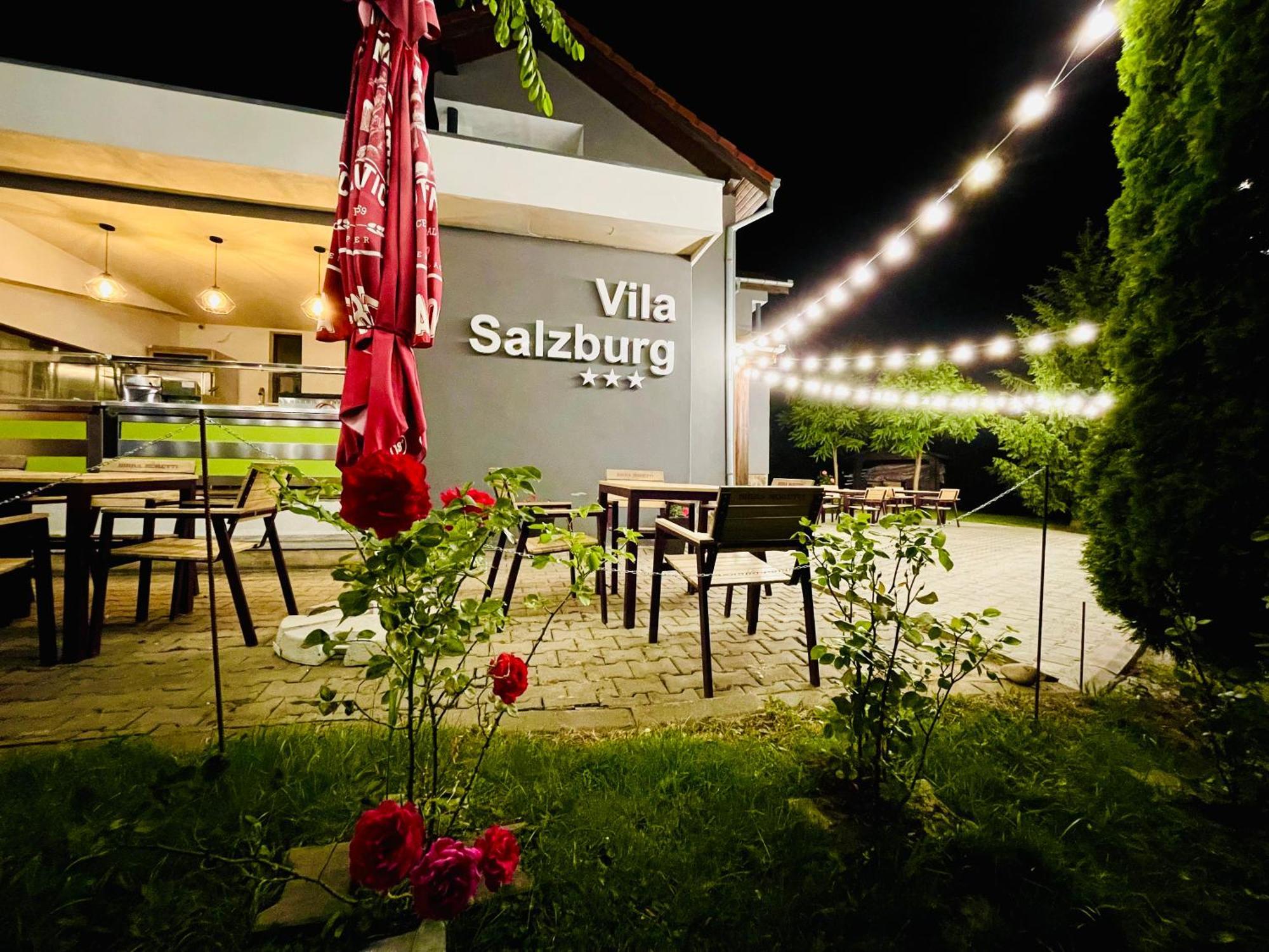 Vila Salzburg Ξενοδοχείο Ocna Sibiului Εξωτερικό φωτογραφία