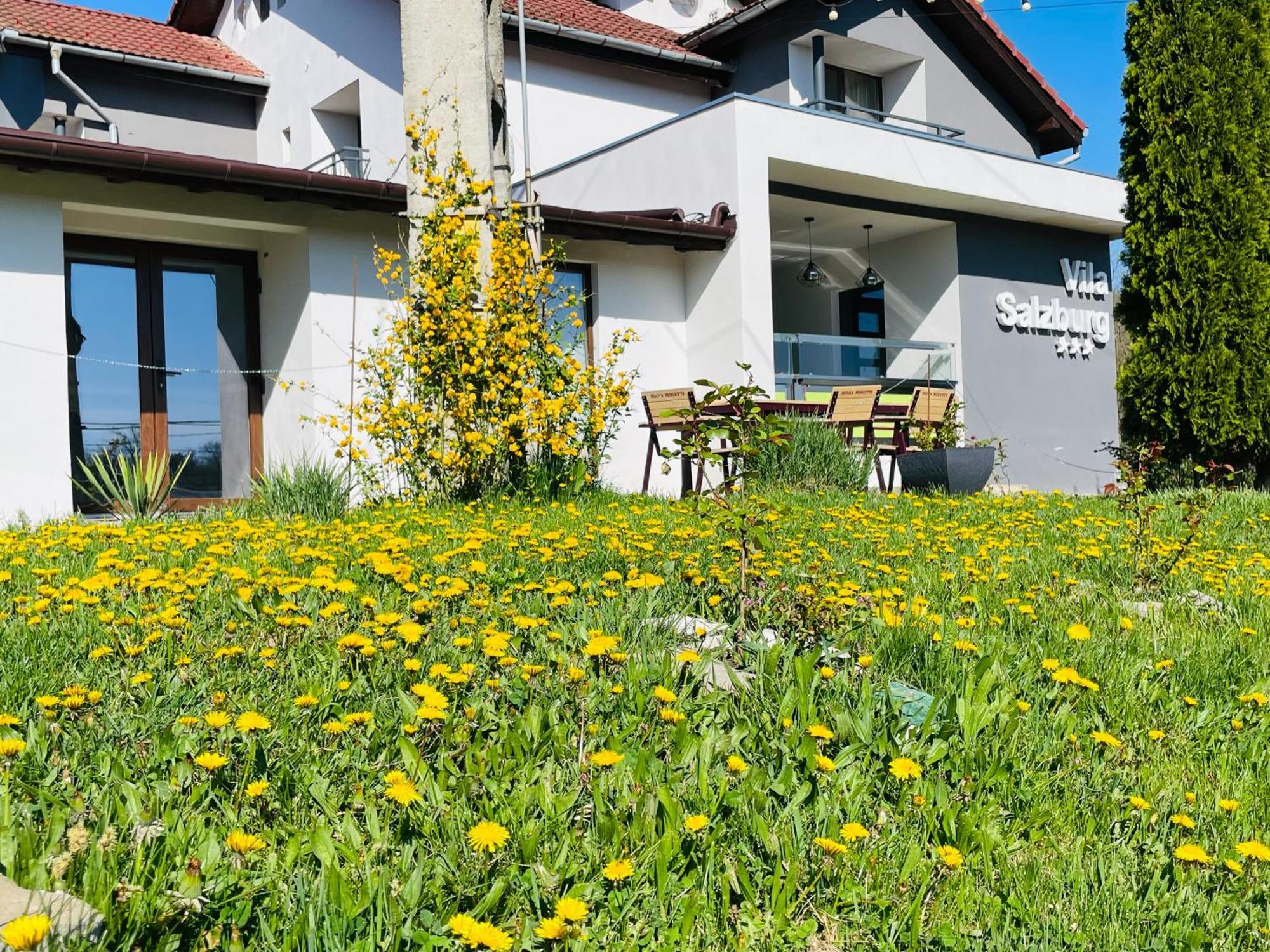 Vila Salzburg Ξενοδοχείο Ocna Sibiului Εξωτερικό φωτογραφία
